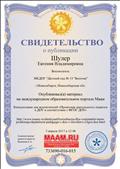Свидетельство о публикации на международном образовательном портале Maam.ru